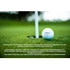Telemesterskap i Golf 2024